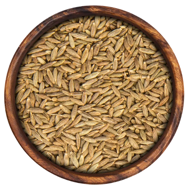 Pravah Exports | Premium Indian Spices & Agricultural Exports